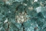 Cubic, Blue-Green Fluorite Crystals on Druzy Quartz - Fluorescent #185469-5